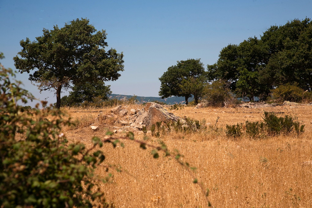Barbagia, Nuoro